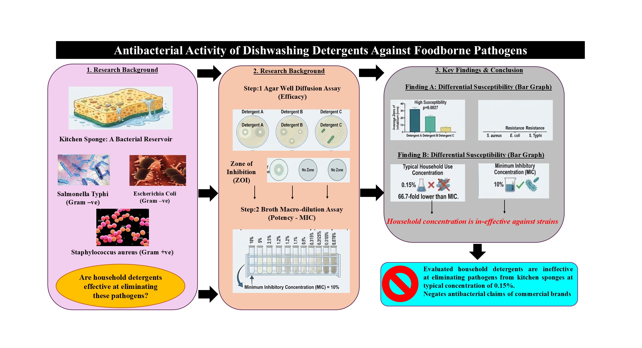 Graphical abstract